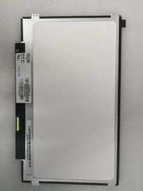 Купить BOE 11,6