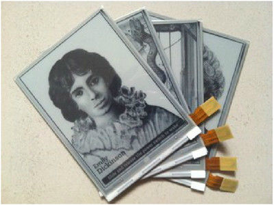 качество Оригинальный 6,0-дюймовый E Ink дисплей 600×800 SVGA с разъемом на 34 контакта для модуля электронной бумаги Kindle Фабрика